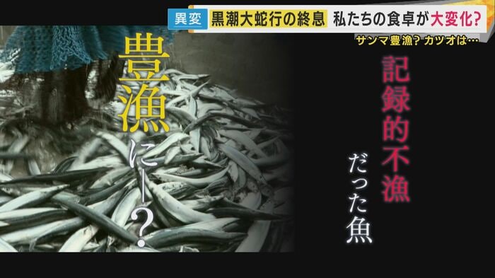 黒潮大蛇行の終息が私たちの食卓に与える影響は