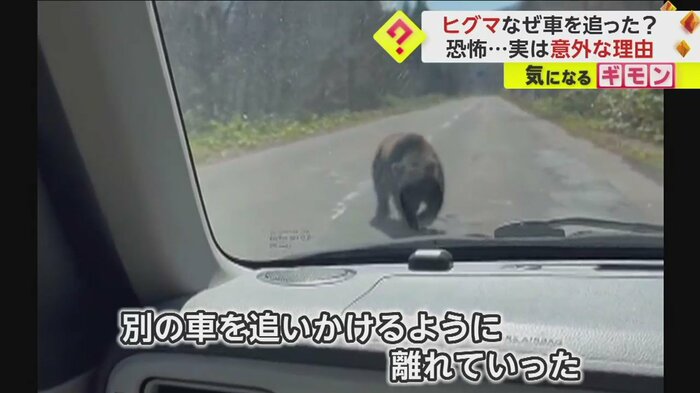 視聴者撮影
