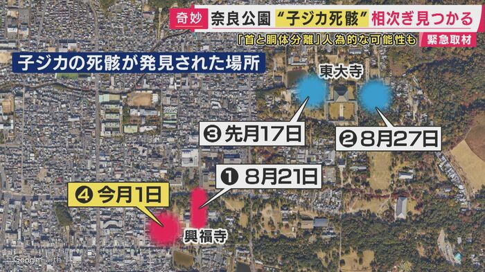 人通りの少ない場所で相次ぐ発見