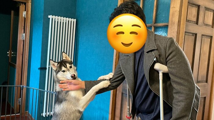 カメラに気づいてスンッ