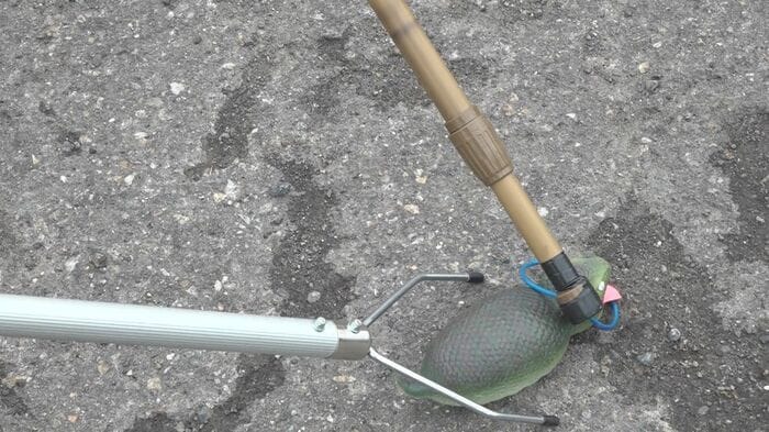 つちのこ捕獲のイメージ