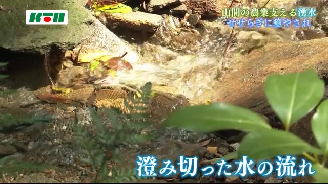 厳しい暑さ続く 山間の農業を支える湧き水ひんやりと