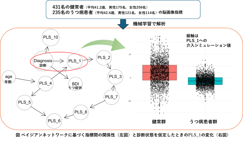 うつ病診断と脳機能結合の潜在的な関係構造が明らかに―機械学習を用いた大規模データ分析による新たな知見―