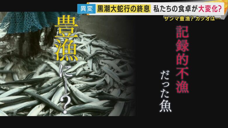 「黒潮大蛇行」収束で明暗　サンマは豊漁で半額！カツオは最盛期の10分の1に減少　専門家「大蛇行再開の可能性も」｜FNNプライムオンライン