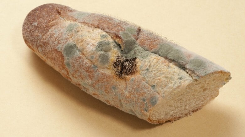 カビが生えたら取り除いても食べないで！加熱しても消えない「カビ毒」って？発がん性があるものも…対策を聞いた｜FNNプライムオンライン