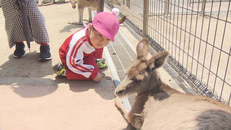 93頭のカンガルーを顔で判別! 名物飼育員が『顔写真付きトレーディングカード』で見分けのノウハウ伝授【福岡発】|FNNプライムオンライン