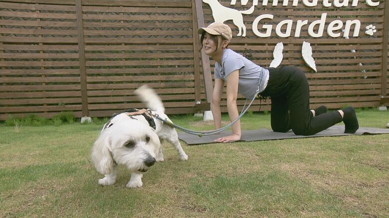 天然芝の上でのびのび！きっかけは飼い主や犬同士のトラブル回避　貸し切り型「ドッグラン」開設 【島根発】｜FNNプライムオンライン