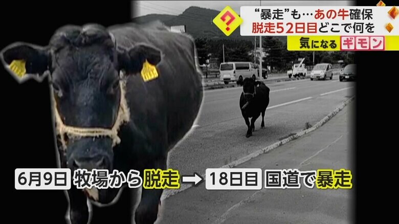 (FNN投稿サイト「ビデオPost」)