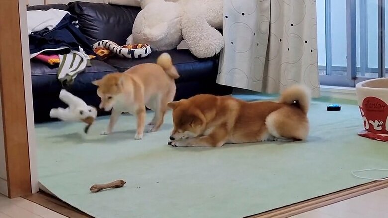 もう一丁！