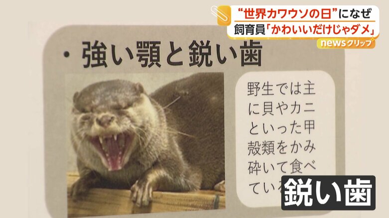 ペットには適さないことを説明したイベント