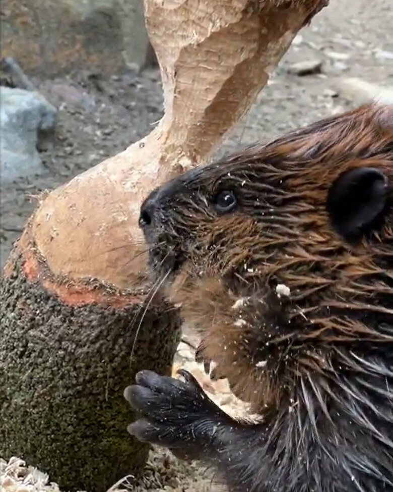 1日1～3本くらいの“作品”ができる