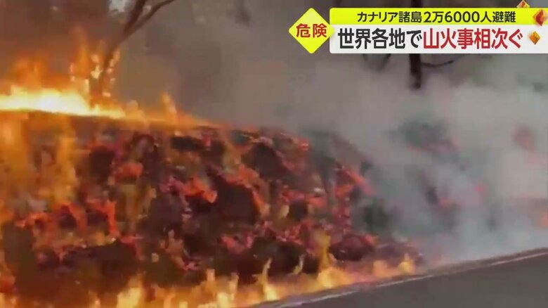 スペイン領カナリア諸島のテネリフェ島。2万6000人以上が避難