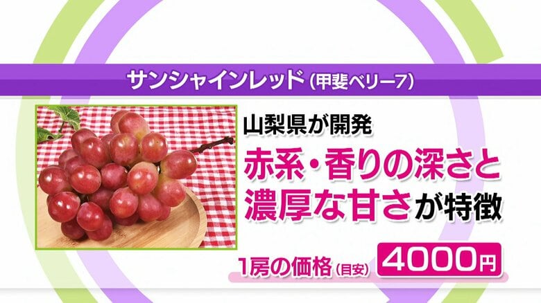 「サンシャインレッド（甲斐ベリー7）」1房の価格（目安）4000円