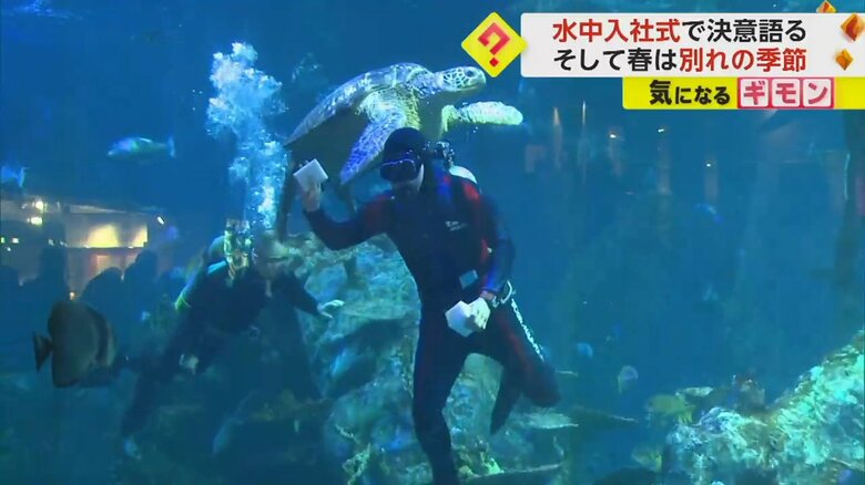 大きなウミガメと水族館のダイバー
