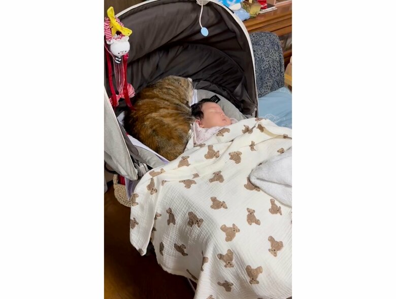 狭い空間で一緒に寝ている“ふたり”（提供：エルモとみみりんさん）