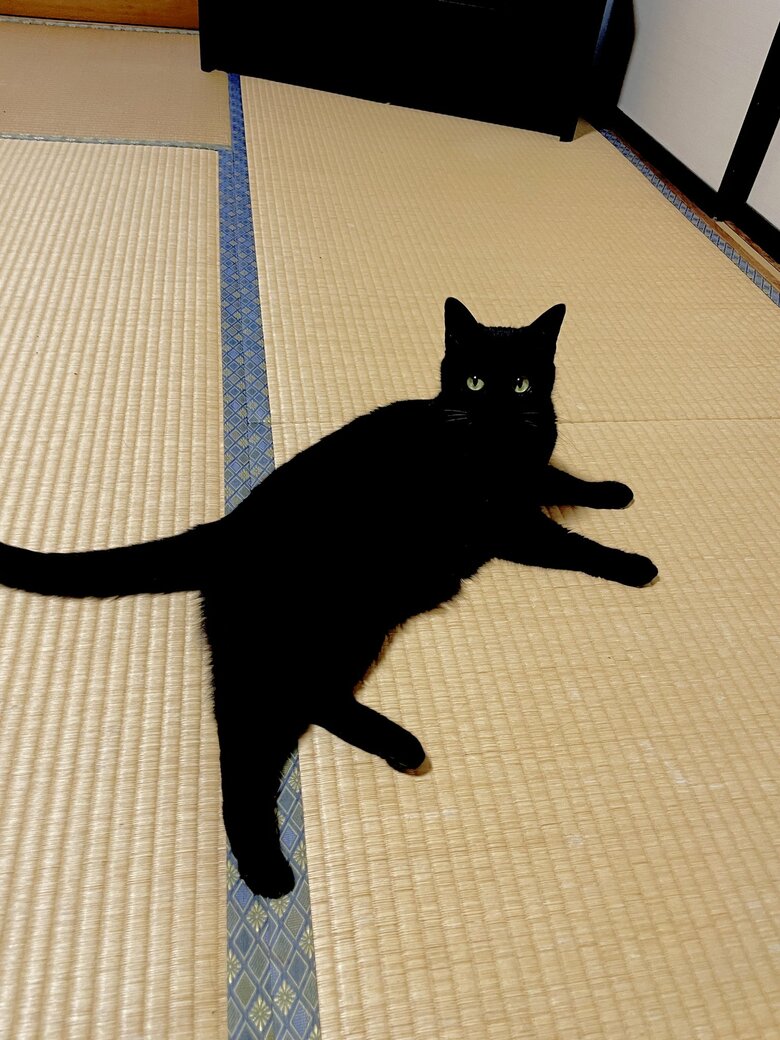 提供：マクーさん