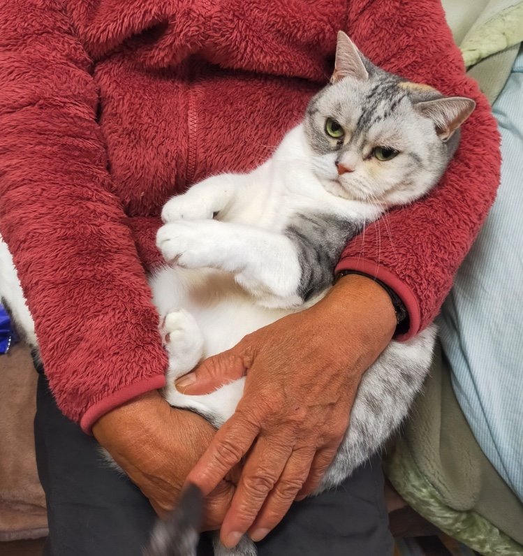 提供：まさまささん