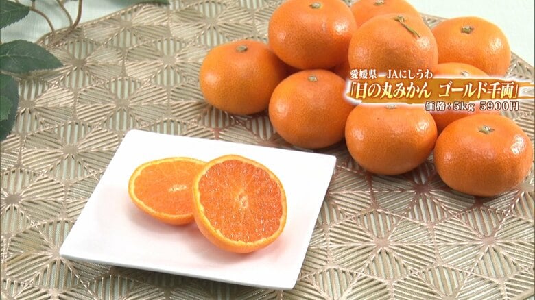 愛媛県JAにしうわ「日の丸みかん ゴールド千両」5キロ 5900円