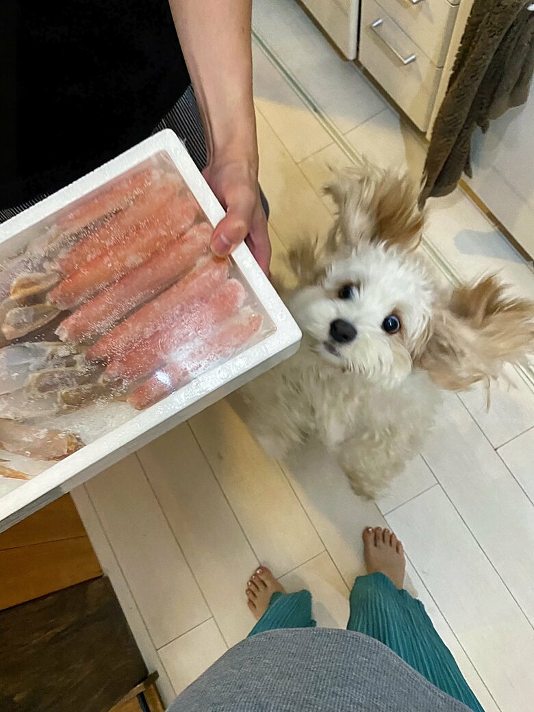 提供：宮原幸恵さん