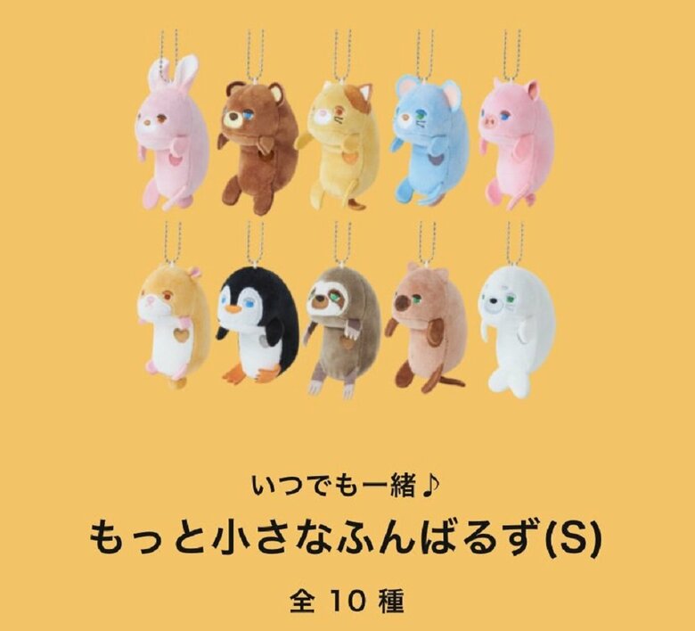 Sサイズのラインナップ