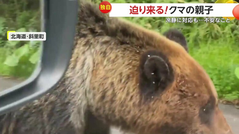 先へ進めない状況で様子を見守るしかなかった撮影者