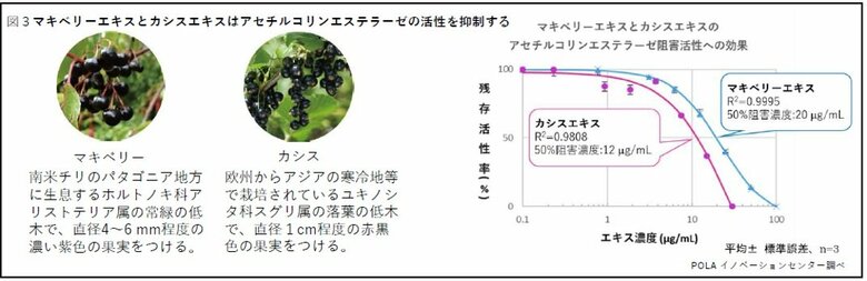 （画像提供：ポーラ）