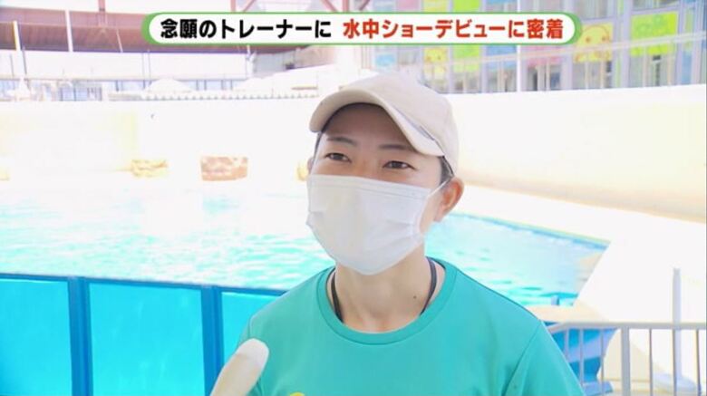 アシカトレーナーになるため大阪から静岡に転職した青山唯さん