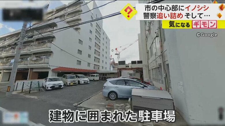 イノシシが現れた岡山市の建物に囲まれた駐車場