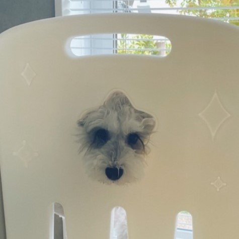 よく見ると穴は星型をしている（提供：こんぶさん）