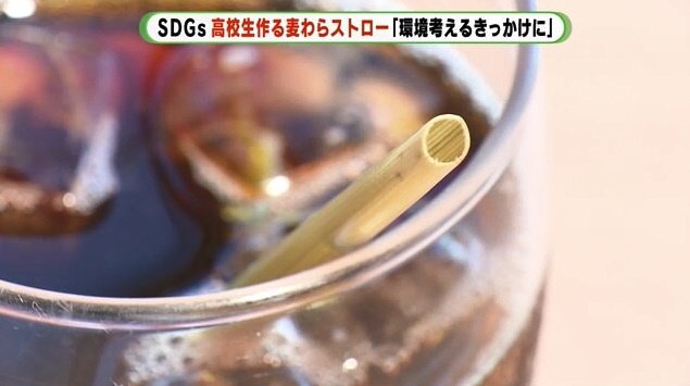 使い心地は普通のストローと変わらない