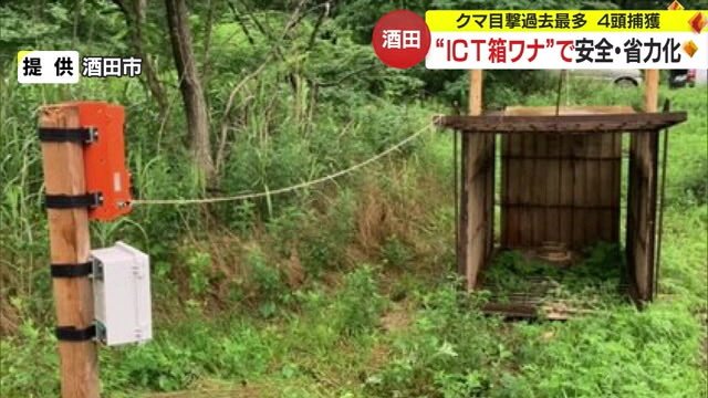 ICTを活用したクマ用の箱ワナ（提供：酒田市）