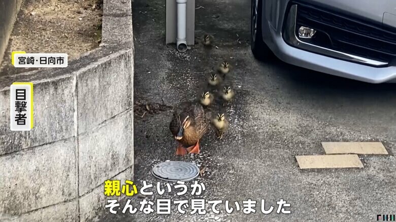 「親心というか、そんな目で見ていました」と話す目撃者