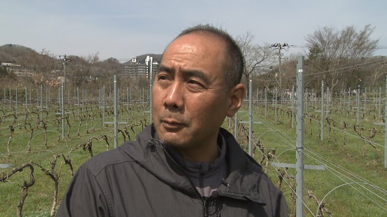 秋保ワイナリー 毛利親房さん