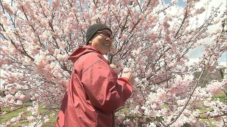 春を告げる早咲き桜「春めき」を前に微笑む