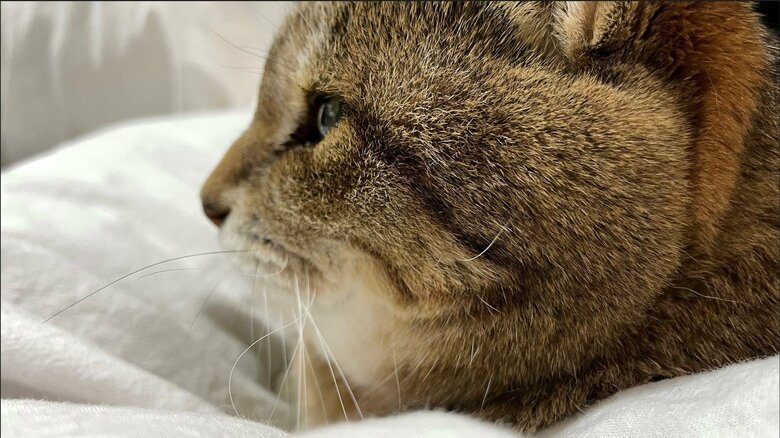 横顔も若々しい