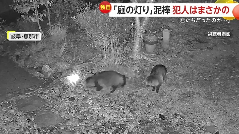 見張り役のように周囲をうかがっていた1匹