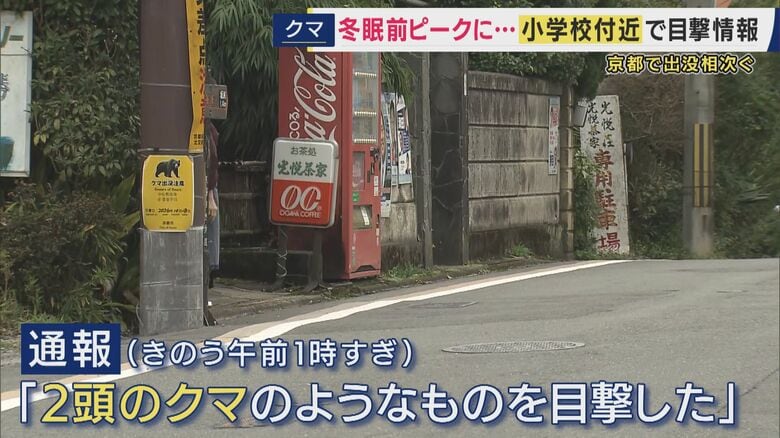 クマの目撃情報