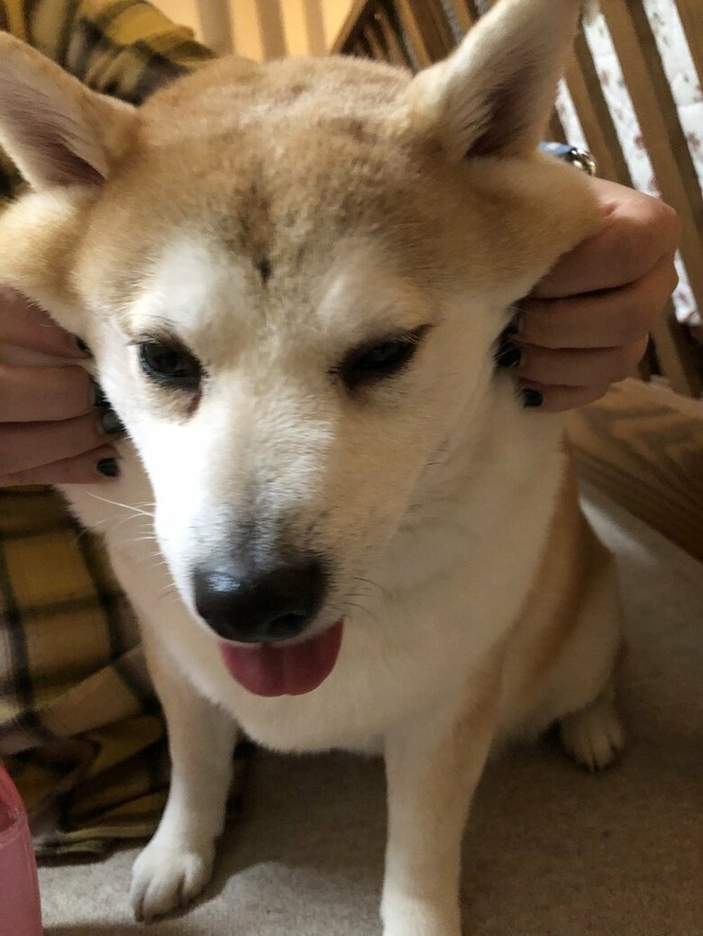 びろーん