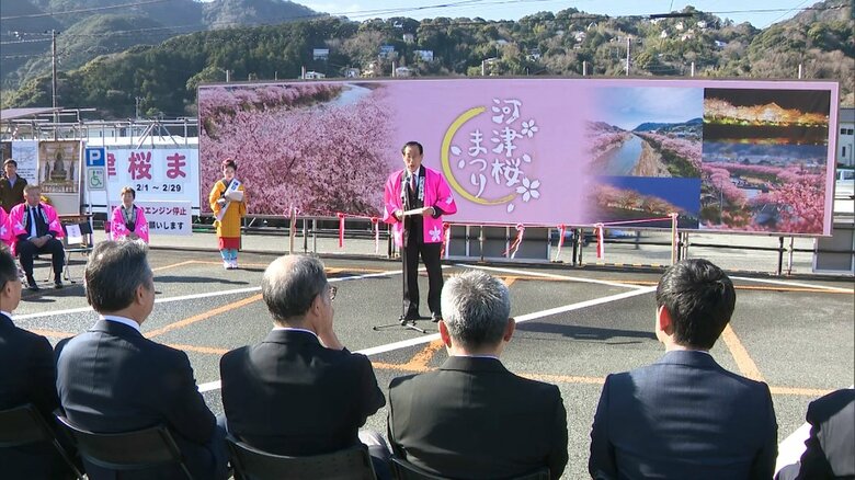 2月1日に開幕した河津桜まつり