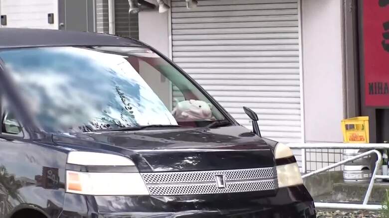 ひょうの被害の様子