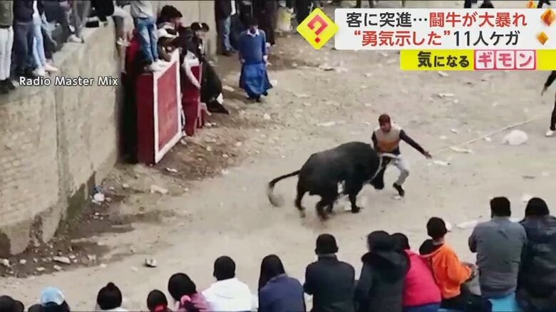 一騎打ちを挑んだ男性が、牛に突進される瞬間③