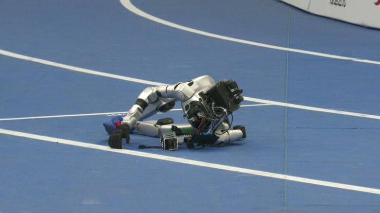 レース後にバランスを崩し倒れる「ひとみん」