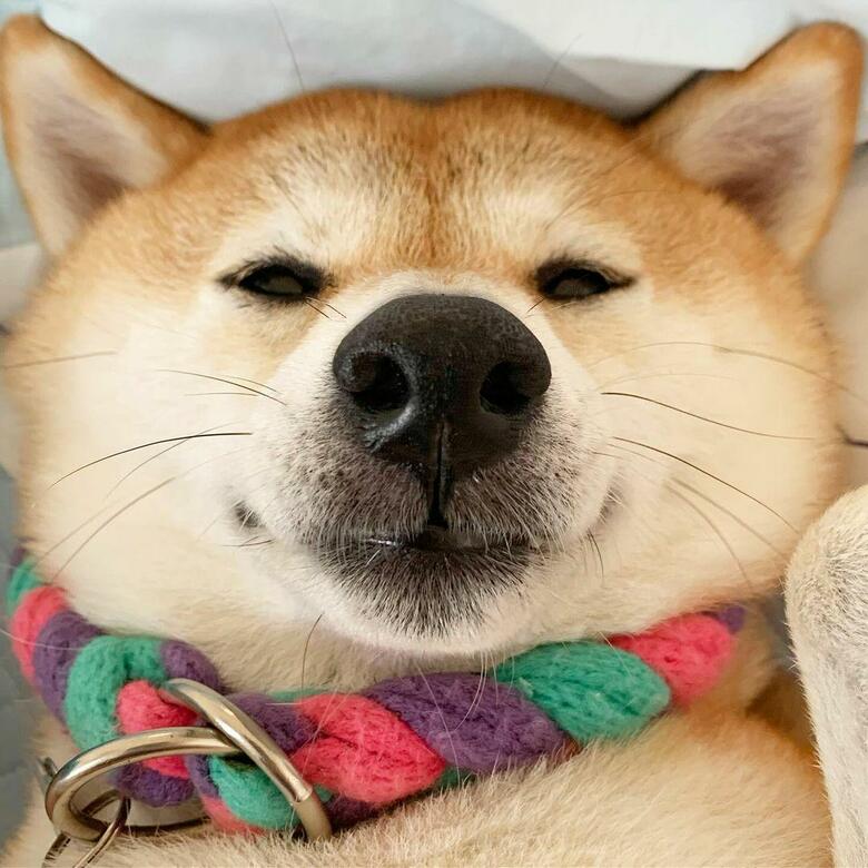 提供：橋本真実さん