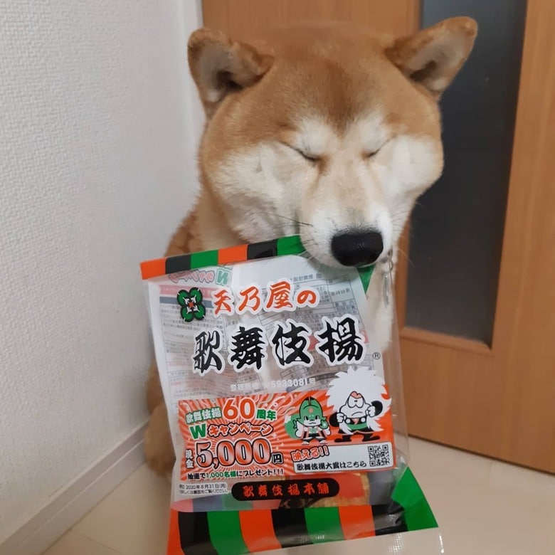 今日はこれが食べたい！