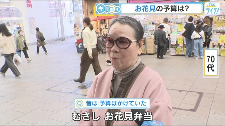 広島市中区の縮景園で花見をした女性