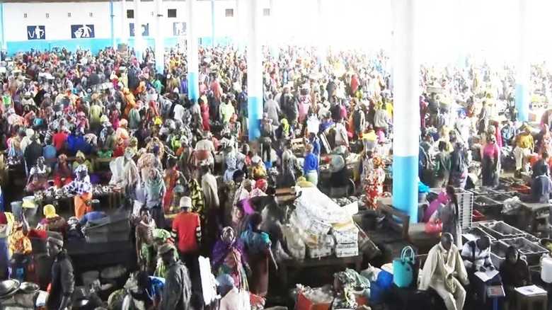 1日8500人が訪れるセネガルの魚市場は日本政府が作ったものだった
