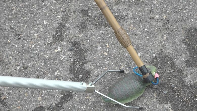 つちのこ捕獲のイメージ