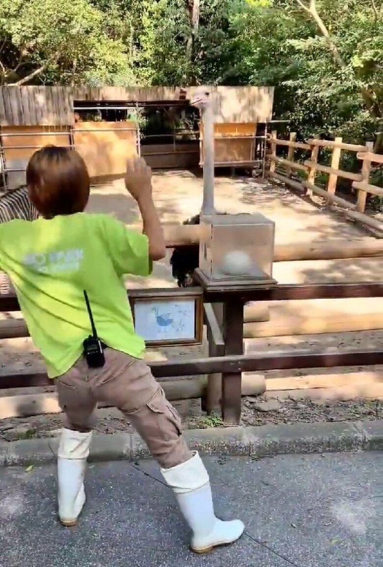 女性飼育員の独特な踊りを観察するキョウちゃん