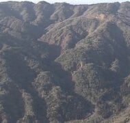 【速報】六甲山の登山道で67歳男性が倒れ死亡　顔に出血の痕　登山者が発見し110番通報　前日から単独登山で帰宅せず家族が行方不明届　警察は事故と事件の両面で捜査