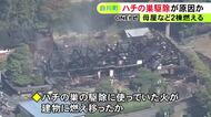 “ハチの巣駆除”の火が燃え移ったか…住宅の母屋と隣接する建物が燃える火事 駆除中の男性がはしごから落ちケガ